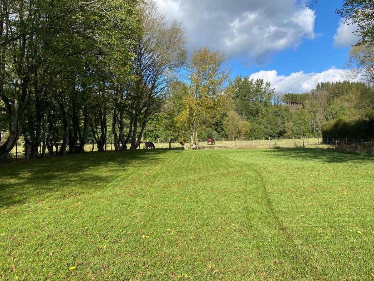 Le Héron - Gîte de charme avec rivière - 6 ou 10 personnes Fauvillers Esterno foto