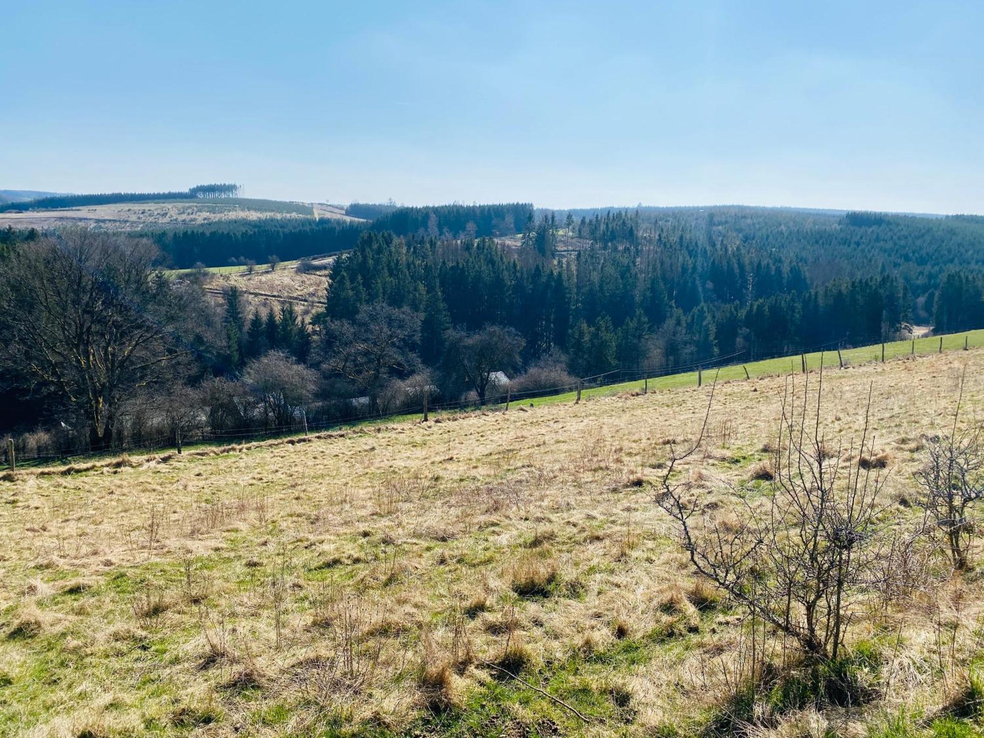 Le Héron - Gîte de charme avec rivière - 6 ou 10 personnes Fauvillers Esterno foto
