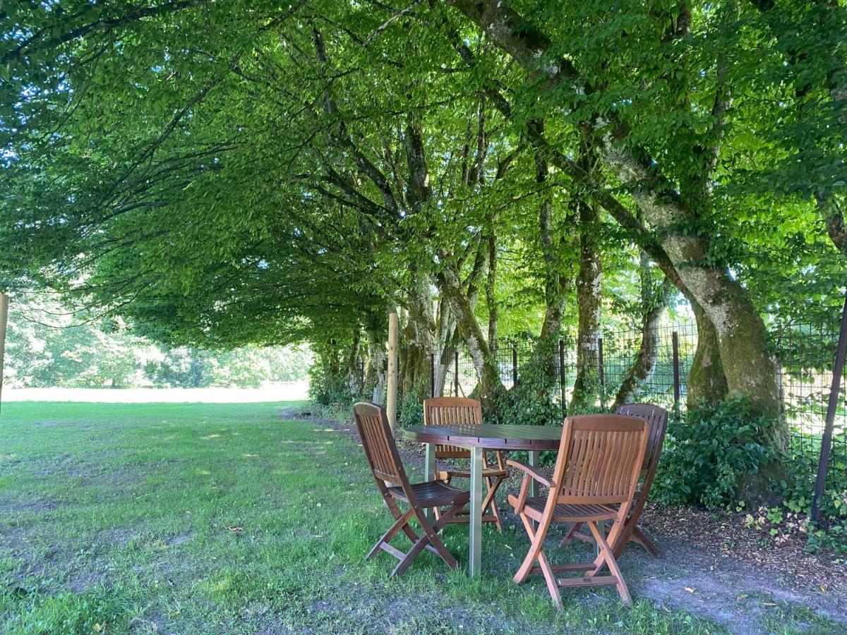Le Héron - Gîte de charme avec rivière - 6 ou 10 personnes Fauvillers Esterno foto
